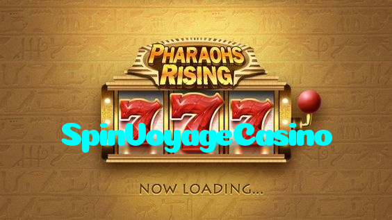 available types of SpinVoyageCasino bet including pre-match live express and system bets