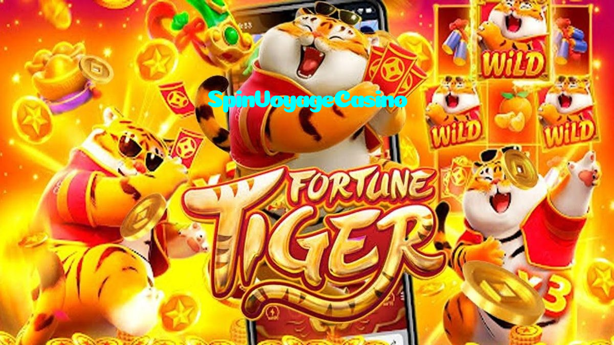 making first deposit on SpinVoyageCasino website using local payment methods in Pakistan