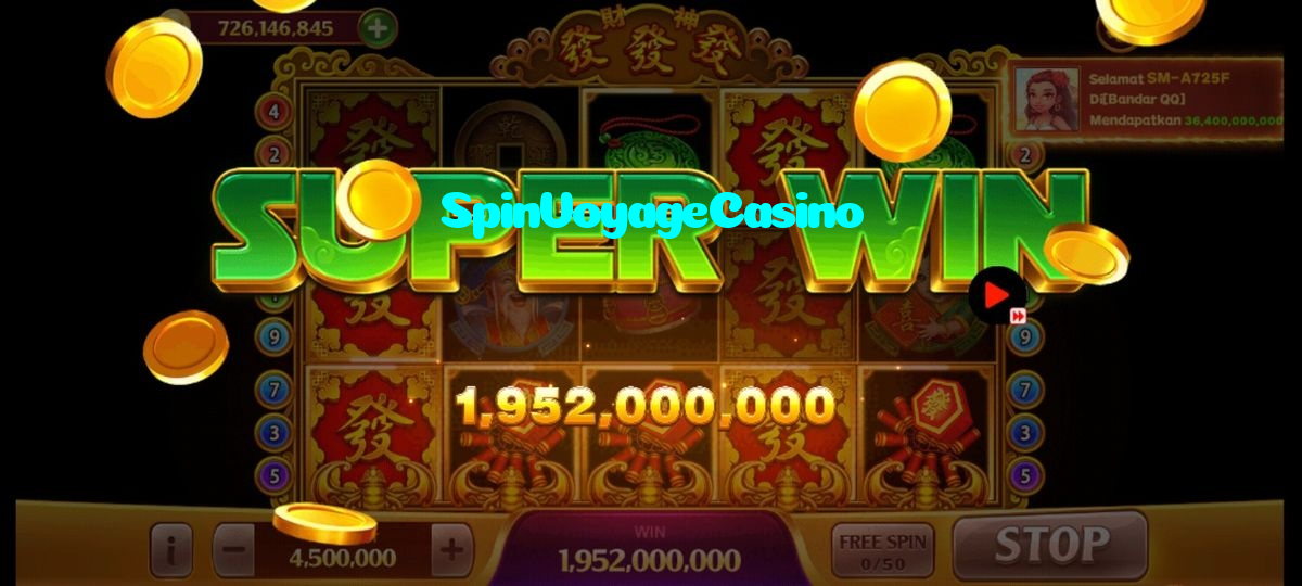 available types of SpinVoyageCasino bet including pre-match live express and system bets